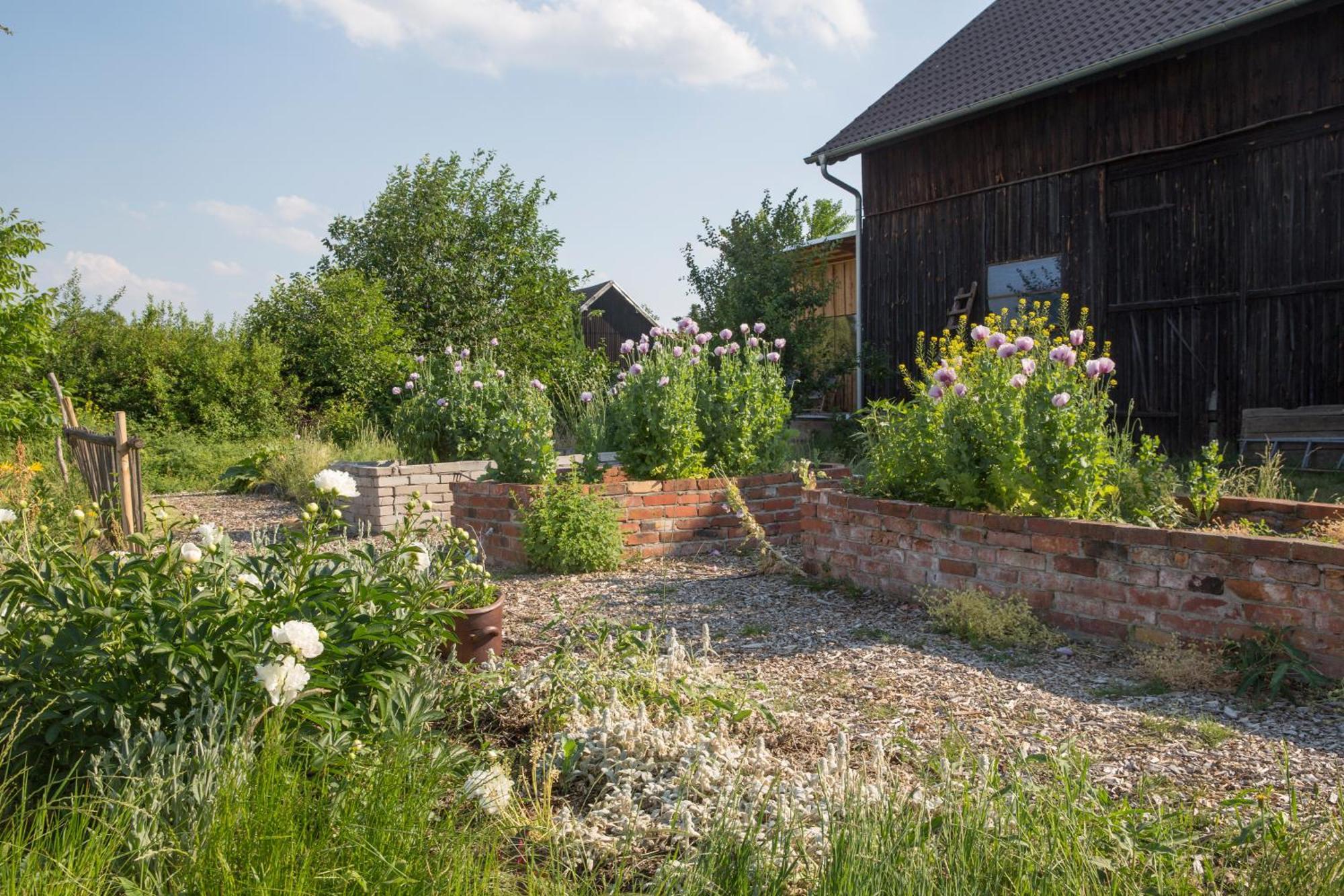 Alte Flachsfarm Cottbus Esterno foto
